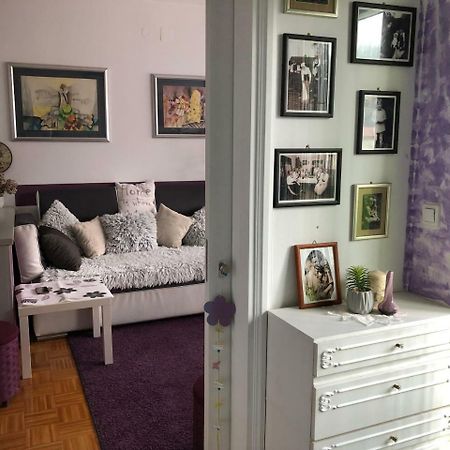 Apartman Lavanda 克拉皮纳 外观 照片